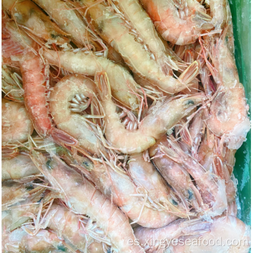 Camarones de arena de camarón mar congelado